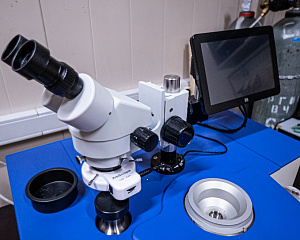 Подготовка образцов для исследования методами просвечивающей электронной микроскопии с использованием комплекта оборудования Fischione