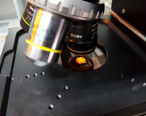 Контактная фотолитография с использованием установки совмещения и экспонирования SUSS MJB4