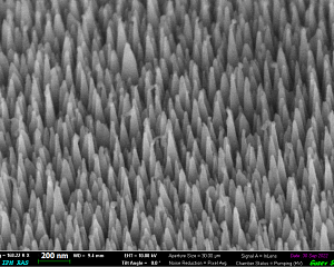 Рис. 1. СЭМ изображение поверхности «черного» кремния
