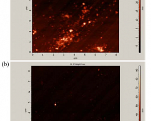 Рис. 2. АСМ изображения поверхности монокристаллической алмазной подложки: а - до обработки в ICP; б - после обработки в ICP