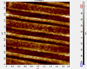 Исследование морфологии поверхности с использованием сканирующего зондового микроскопа Solver PRO-HV