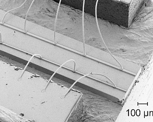 Рис. 2 РЭМ-снимок терагерцового квантово-каскадного лазера