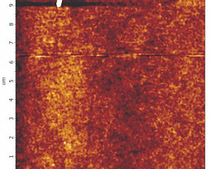 Исследование морфологии поверхности с использованием сканирующего зондового микроскопа Solver NEXT