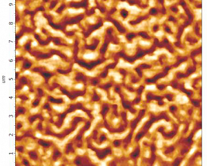 Исследование морфологии поверхности с использованием сканирующего зондового микроскопа Solver NEXT