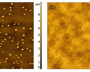 Анализ поверхности с помощью сканирующей оптической ближнепольной микроскопии на микроскопе NTEGRA Prima