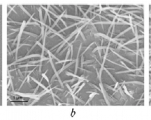 Кадры СЭМ, иллюстрирующие морфологию тонких пленок фталоцианина марганца, осажденных в различных конфигурациях внешнего магнитного поля и имеющих разную степень кристаллического текстурирования: a – без поля, b – вертикальное поле, c – горизонтальное поле
